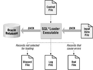 Sql Loader  -  11