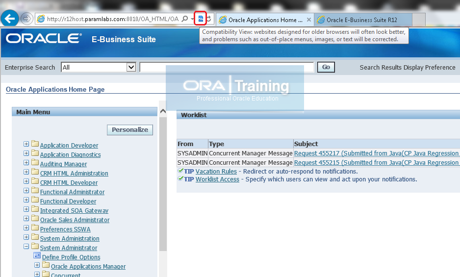 Oracle E-Business Suite R12 | Google Chrome Browser Access